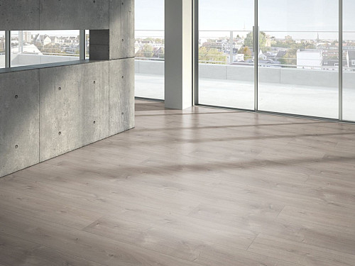 PARADOR Trendtime 6 Dub Mistral šedý přírodní struktura 1567466