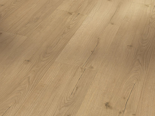 PARADOR Basic 2.0 Dub Infinity přírodní svěží struktura 1730799